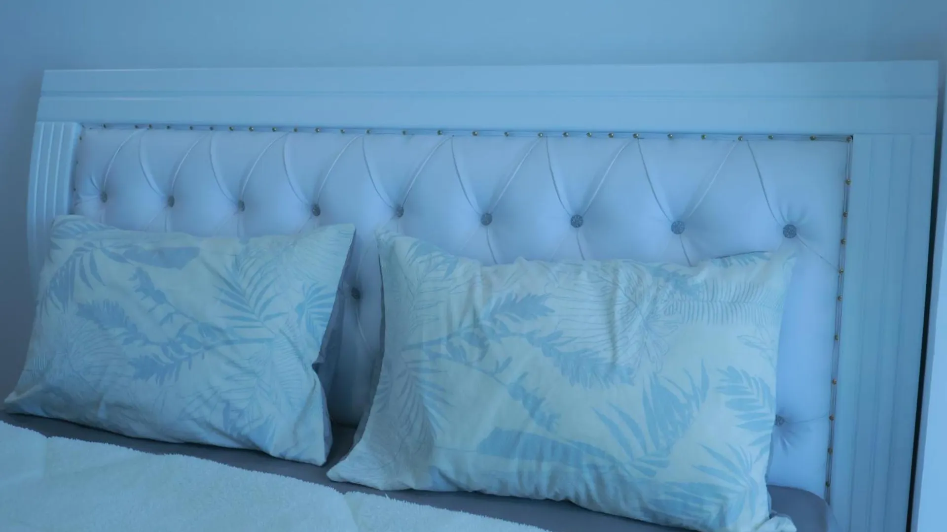 Kidist 5Br Duplex Apartment Adis Abeba